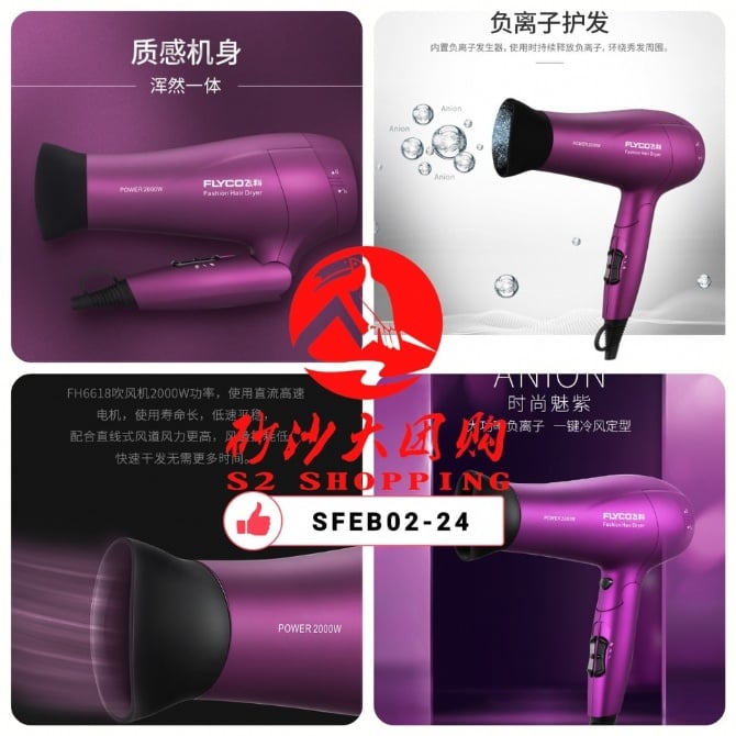 SFEB02-23 ~ 飞科FH6618吹风机 Flyco FH6618 hair dryer