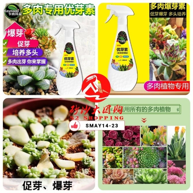 SMAY14-23~优芽素 Youmasu