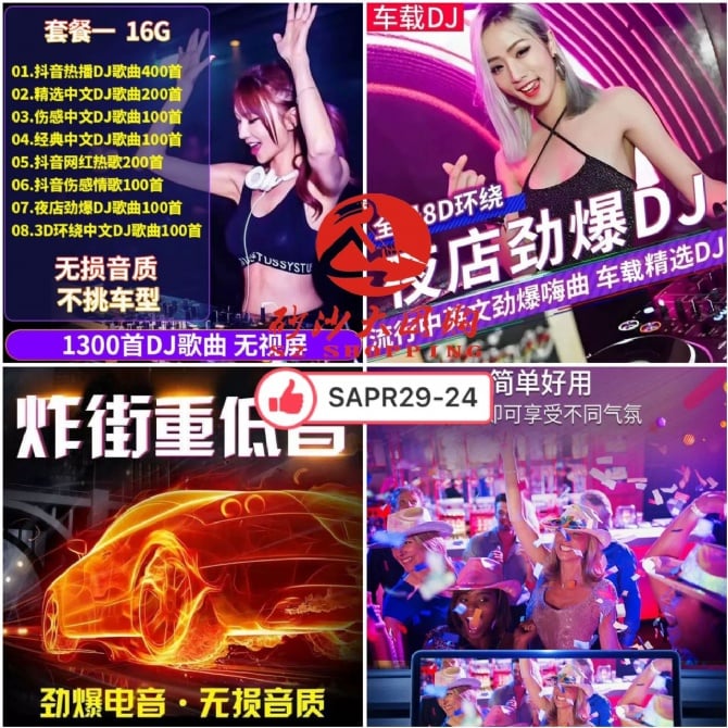 SAPR29-24 ~ 劲爆DJ舞曲U盘 Hit DJ Dance Music USB Drive