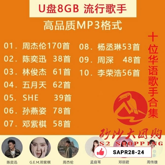 SAPR28-24 ~ 车载音乐U盘 Car music USB flash drive 8GB