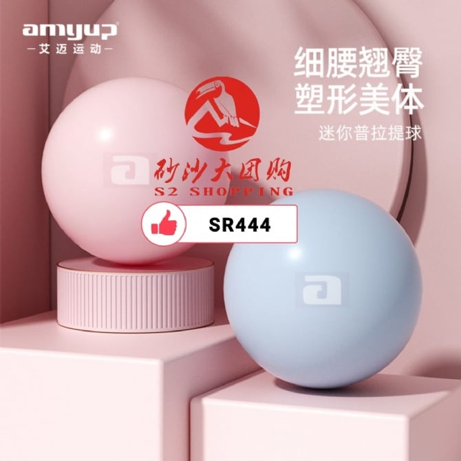 SR444 ~ 迷你普拉提球 Mini Pilates Ball