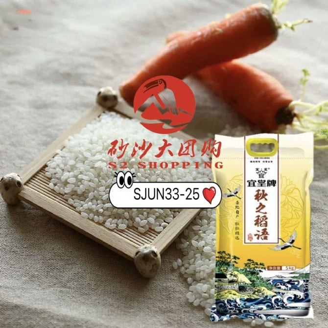 SJUN33-25 ~ 秋之稻语 Autumn Rice Whisper