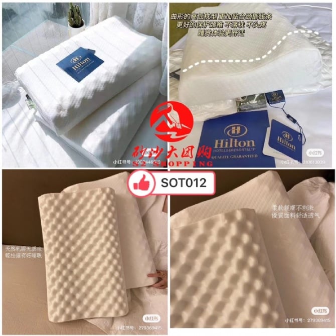 SOT012 Hilton乳胶枕头 HILTON PILLOW