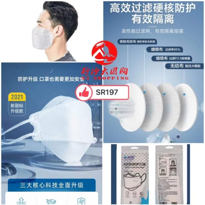 SR197 韩版鱼嘴柳叶KF94口罩 KF94 FISH MOUTH WILLOW LEAF MASK