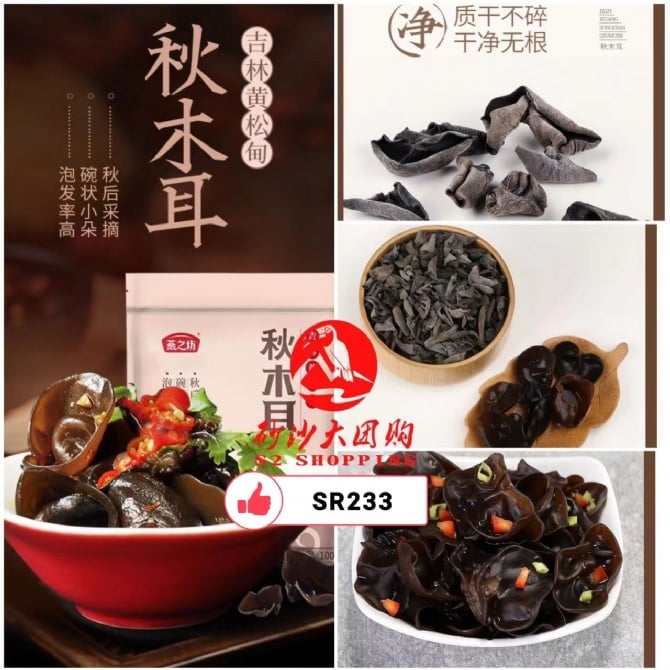SR233 脆弹秋木耳 AUTUMN FUNGUS